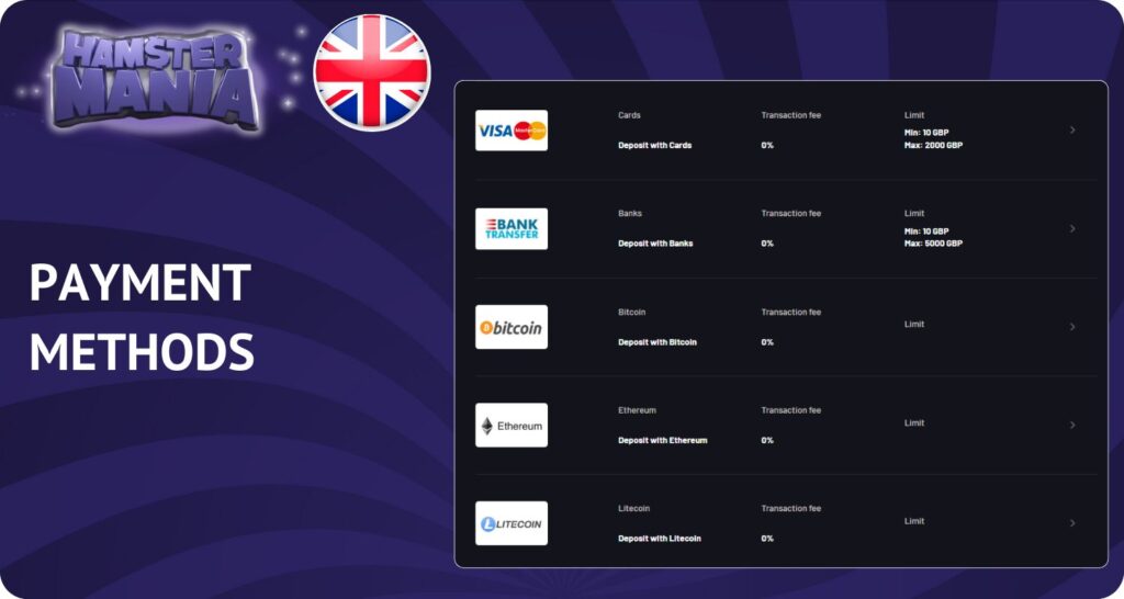 Hamster Mania Payments